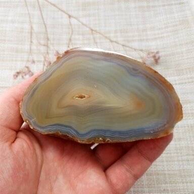 Agatas 446g