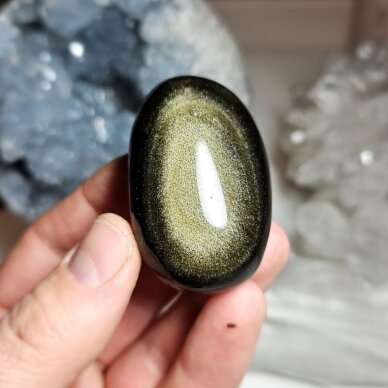 Auksinio obsidiano delninukas
