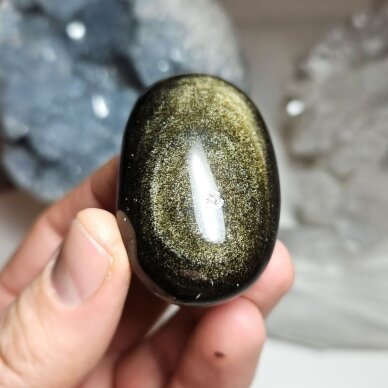Auksinio obsidiano delninukas 1