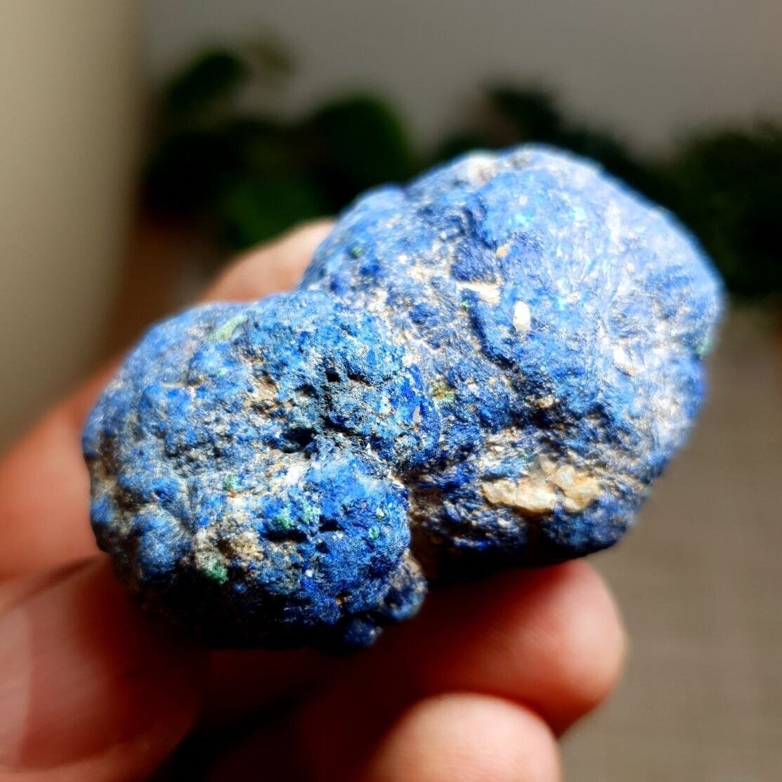 Azuritas 1