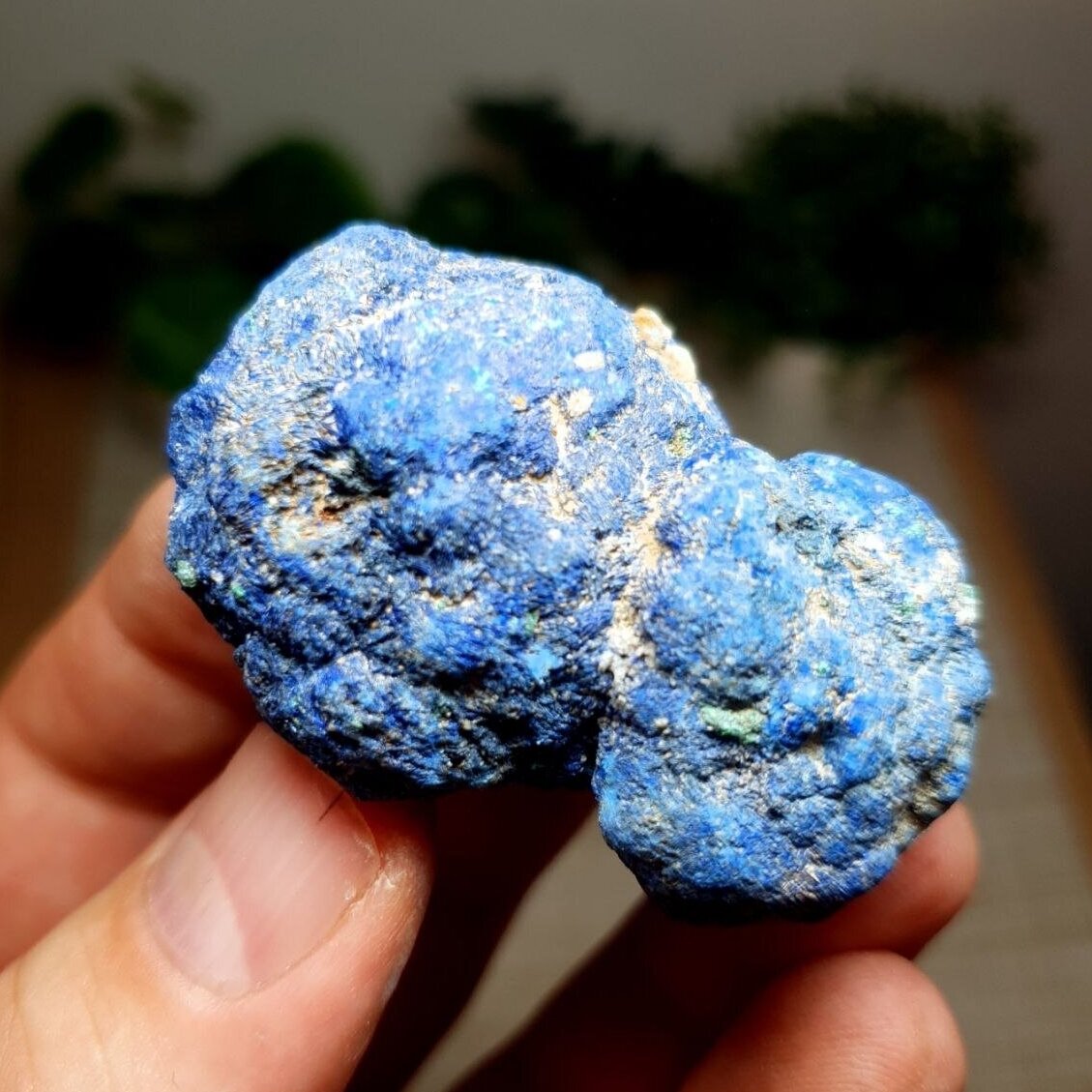 Azuritas