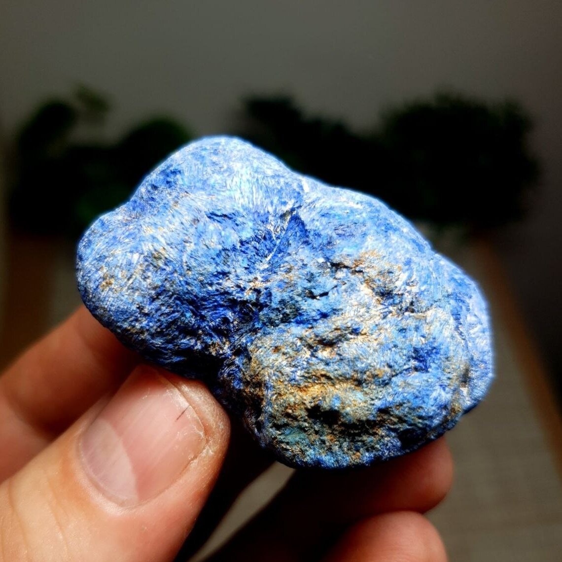 Azuritas 2