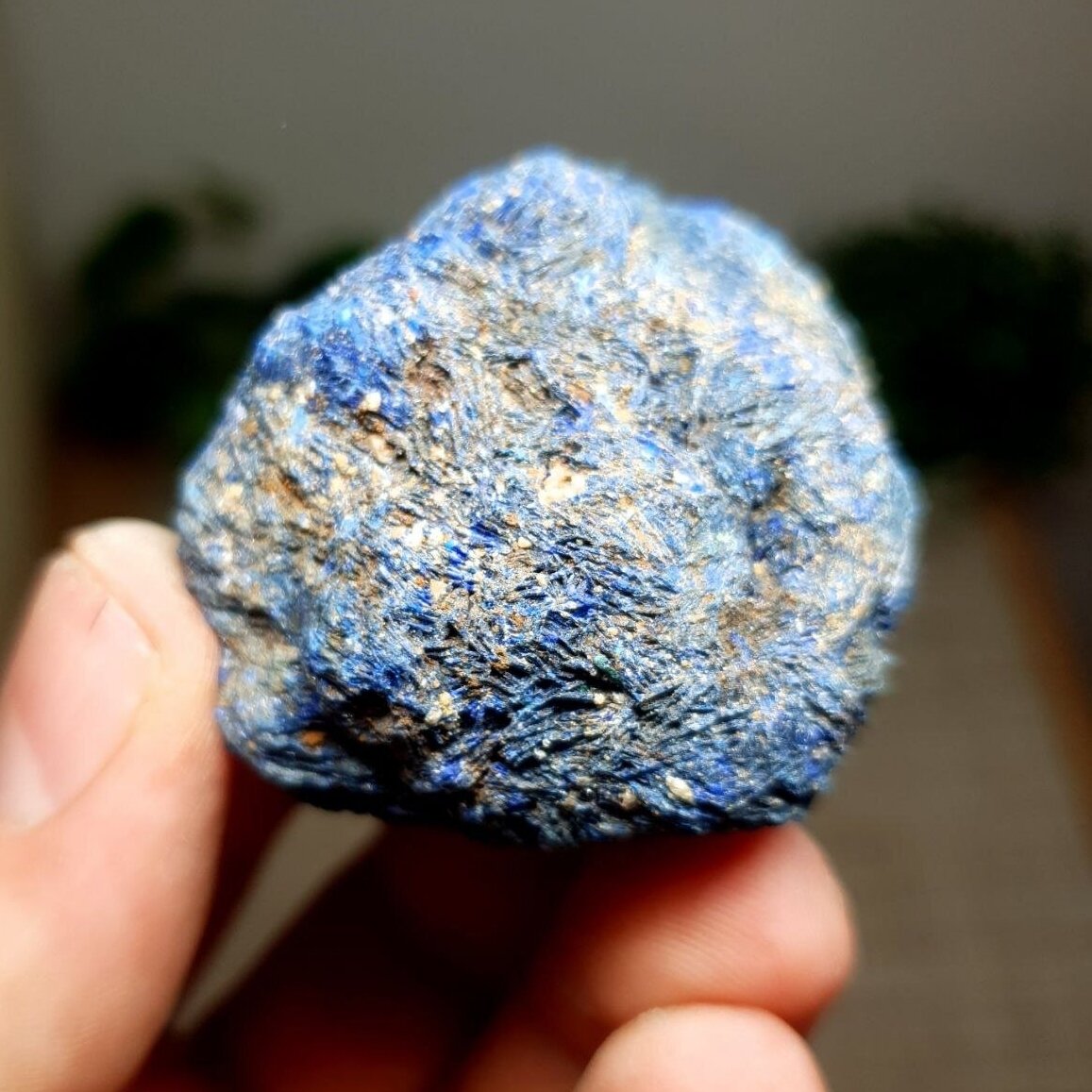 Azuritas 1