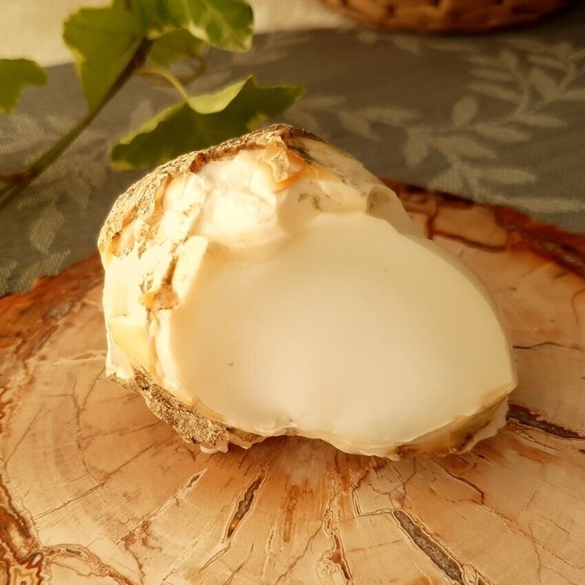 Baltasis opalas iš Turkijos