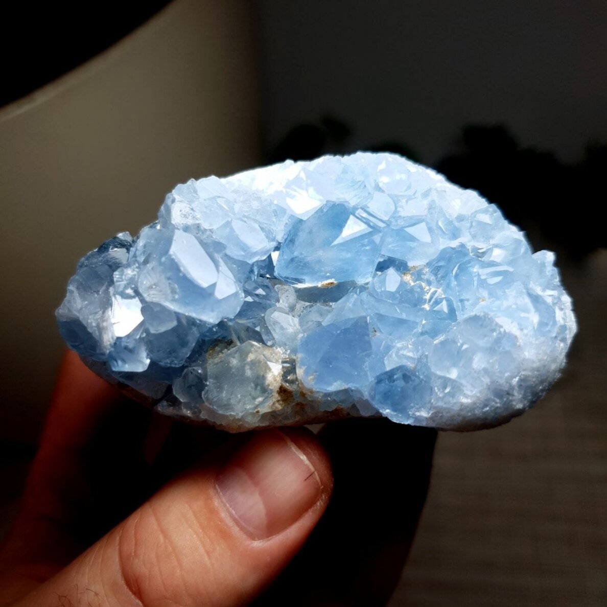 Celestinas 1
