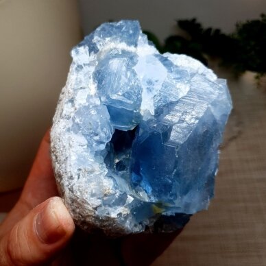 Celestinas 1