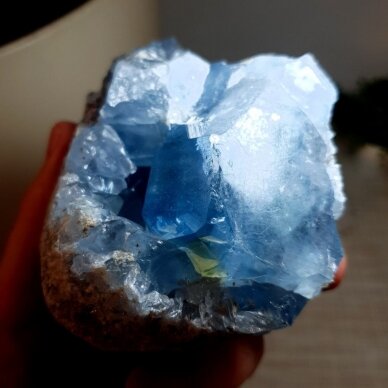 Celestinas 2