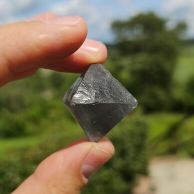 Fluorito kristalas 1