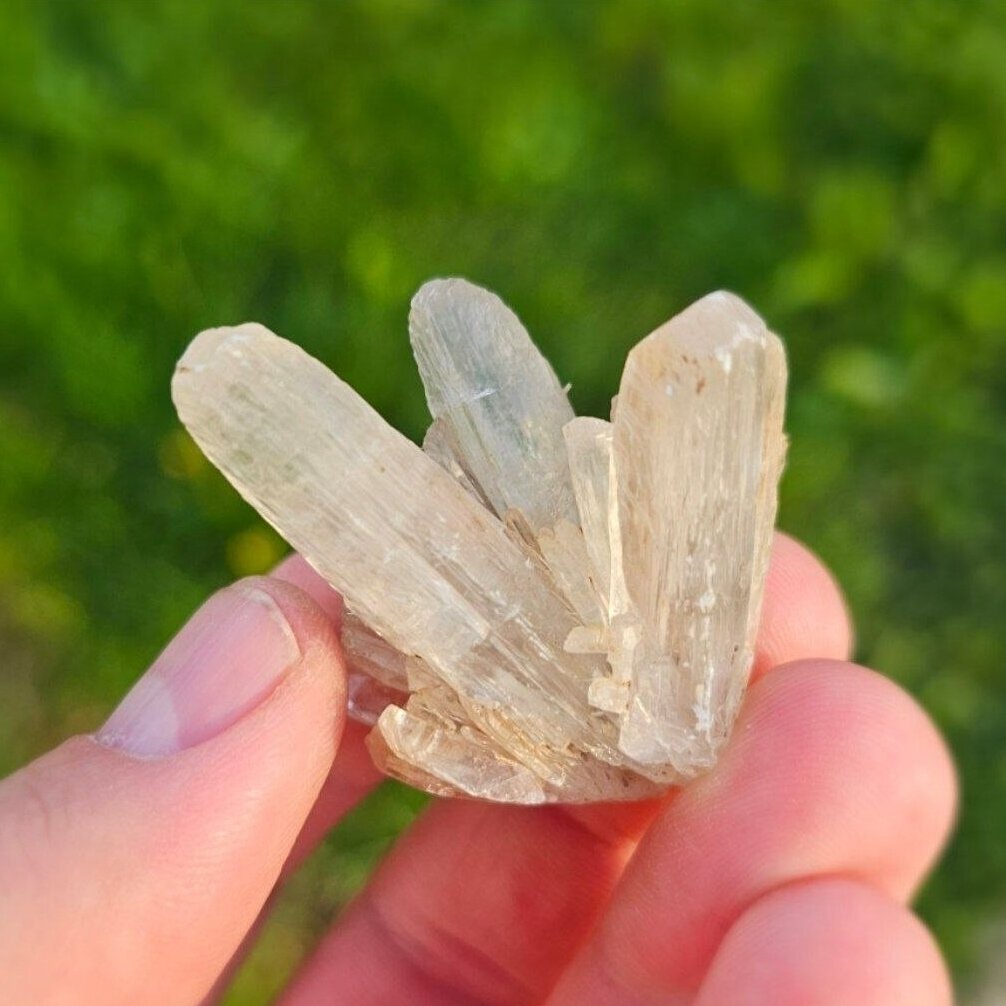 Gipso kristalas