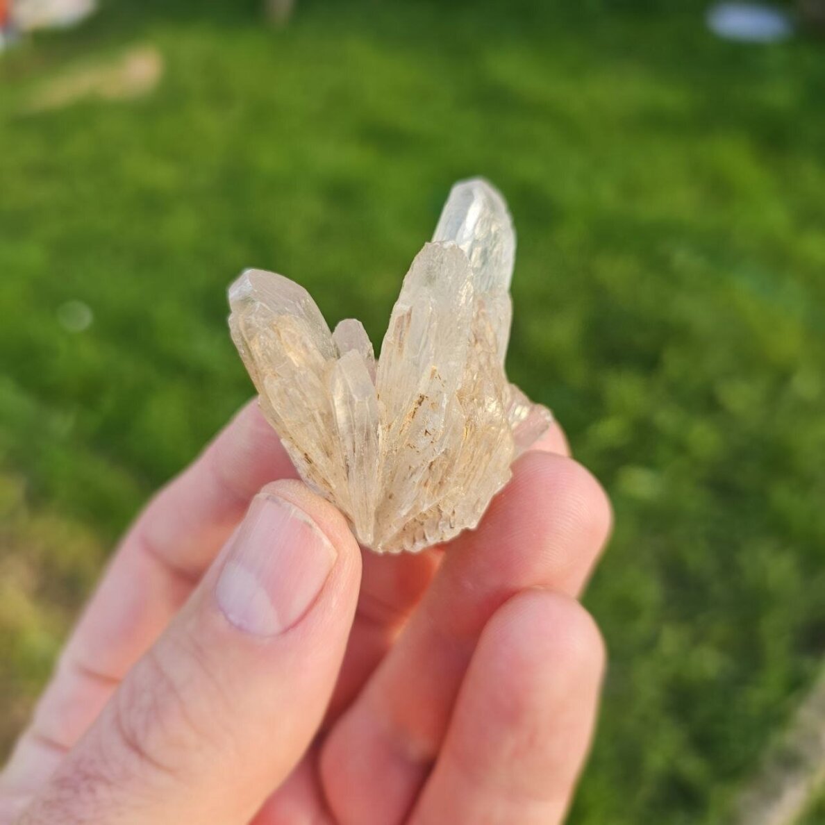 Gipso kristalas 1