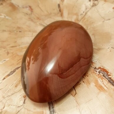 Polichrominis jaspis 2