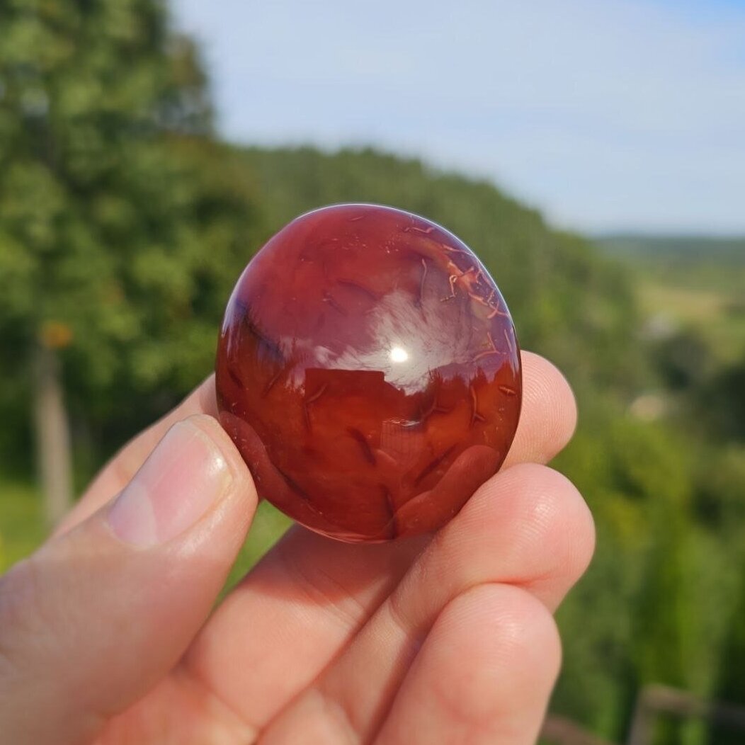 Karneolio delninukas 1