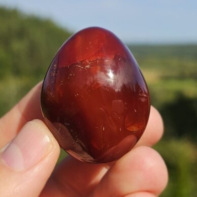 Karneolio delninukas