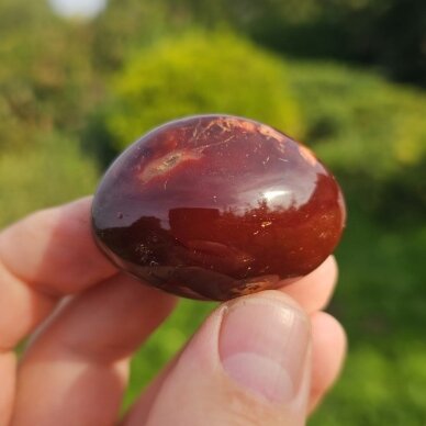 Karneolio delninukas 1
