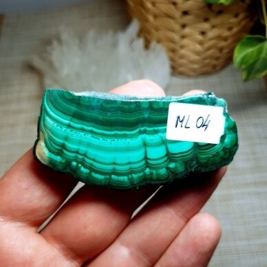 Malachito plokštelė 65g 2