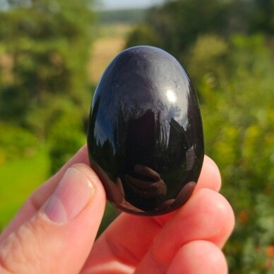 Obsidiano delninukas