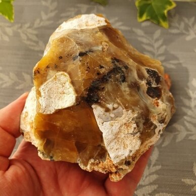 Geltonasis opalas 3 Geltonasis opalas 3