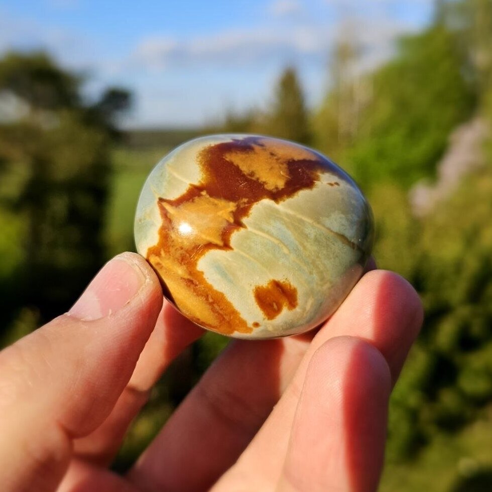 Polichrominio jaspio delninukas 1