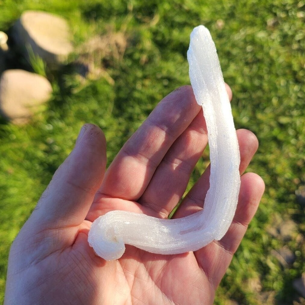 Selenito kristalas (Ram's horn)