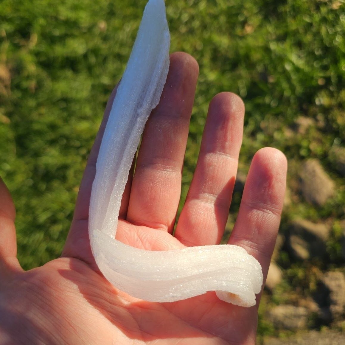 Selenito kristalas (Ram's horn) 1 Selenito kristalas (Ram's horn) 1