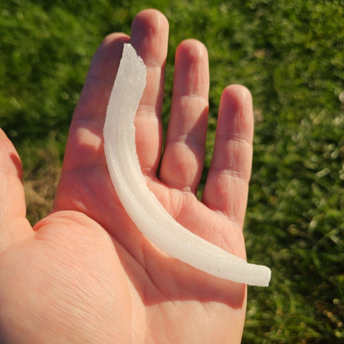 Selenito kristalas (Ram's horn) 2 Selenito kristalas (Ram's horn) 2