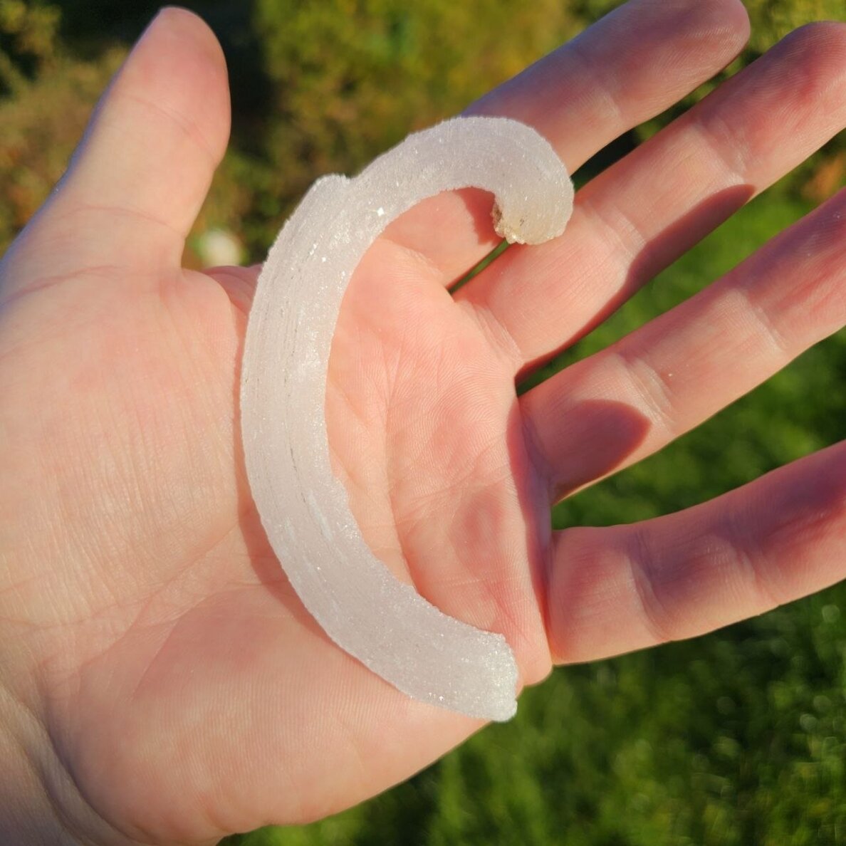 Selenito kristalas (Ram's horn)