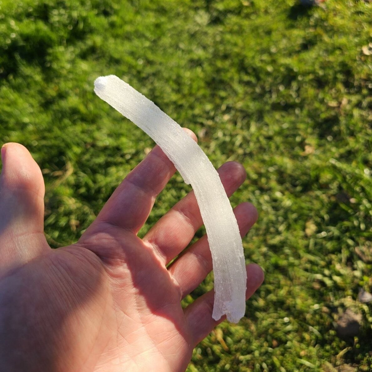 Selenito kristalas (Ram's horn) 1