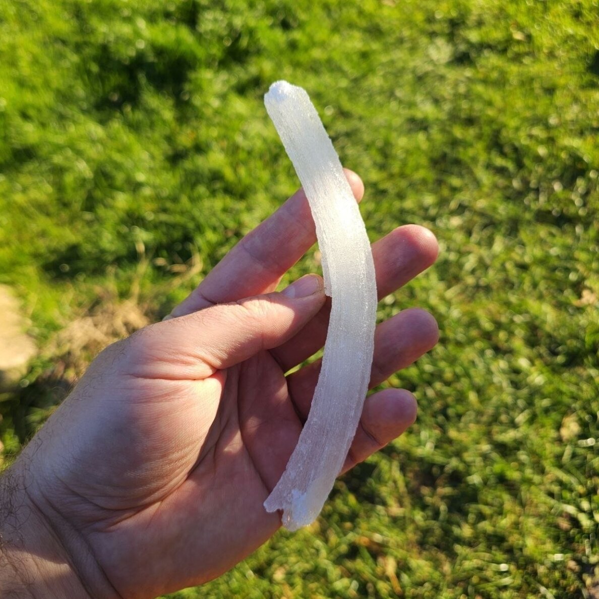Selenito kristalas (Ram's horn)