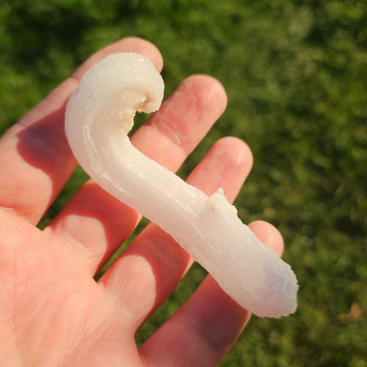 Selenito kristalas (Ram's horn)
