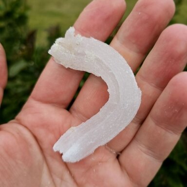 Selenito kristalas (Ram's horn)