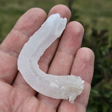 Selenito kristalas (Ram's horn) 1