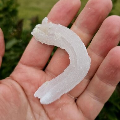 Selenito kristalas (Ram's horn)