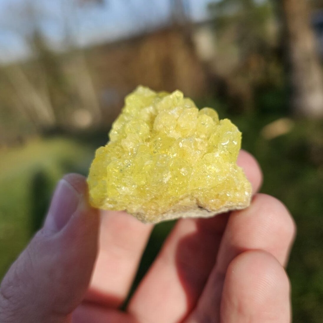 Sieros kristalas 1