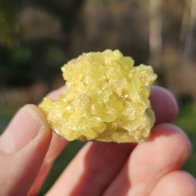 Sieros kristalas