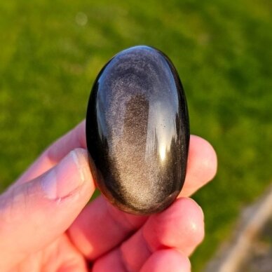 Sidabrinio obsidiano delninukas
