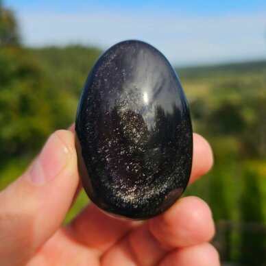 Sidabrinio obsidiano delninukas
