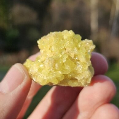 Sieros kristalas
