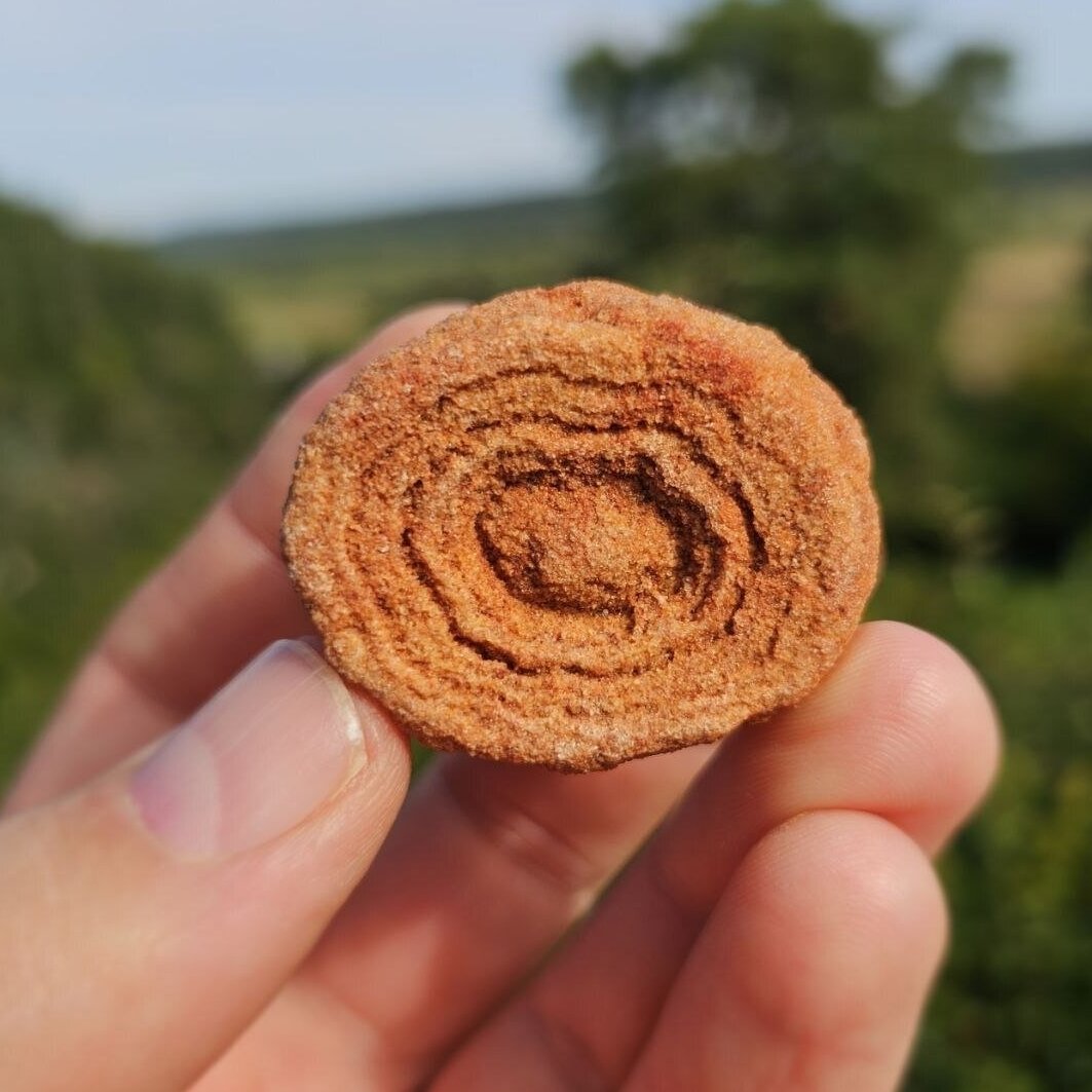 Stromatolitas