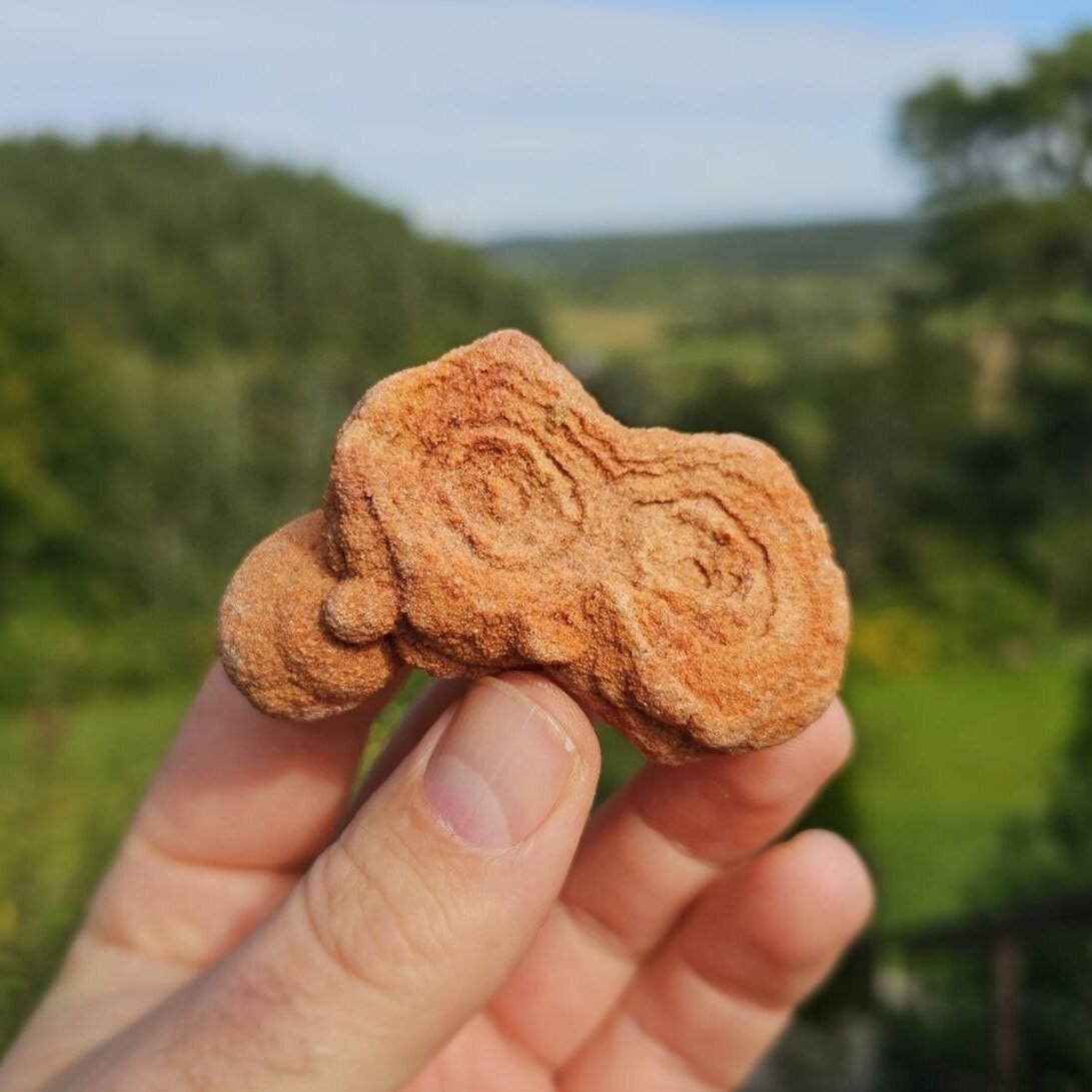 Stromatolitas 1