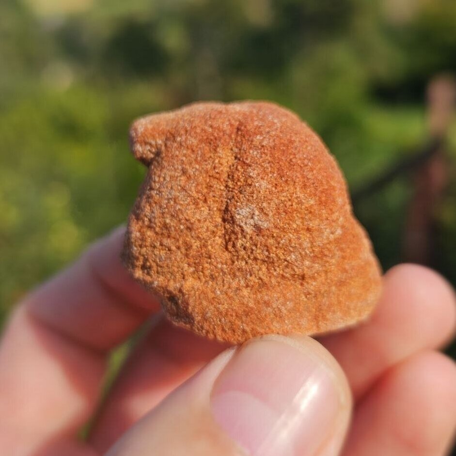 Stromatolitas 1