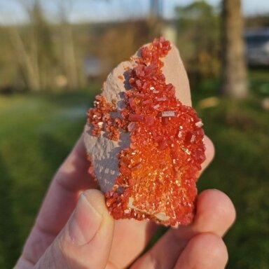 Vanadinito drūzelė
